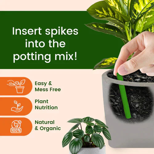 Magic Plant Sticks